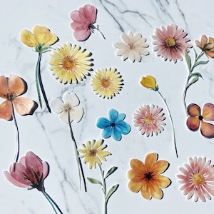 Pack of 15 Edible Die Cut Wafer Bright Pressed Dried Flowers, Wafer Paper Flowers, Edible Flowers for Cake