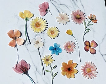 Pack of 15 Edible Die Cut Wafer Bright Pressed Dried Flowers, Wafer Paper Flowers, Edible Flowers for Cake
