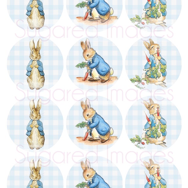 Peter Rabbit Cake Topper - Etsy Australia