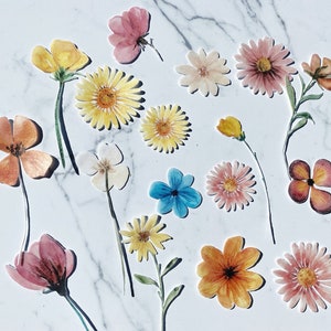 Pack of 15 Edible Die Cut Wafer Pressed Dried Flowers, Wafer Paper Flowers, Edible Flowers for Cake