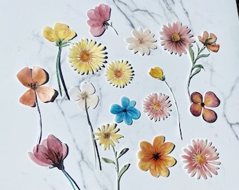 Pack of 15 Edible Die Cut Wafer Pressed Dried Flowers, Wafer Paper Flowers, Edible Flowers for Cake