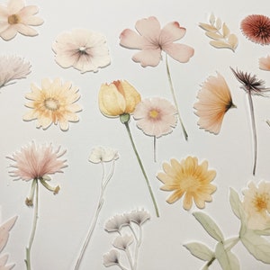 Pack of 18 Edible Die Cut Wafer Pressed Dried Flowers, Bpho Wafer Paper Flowers, Edible Flowers for Cake