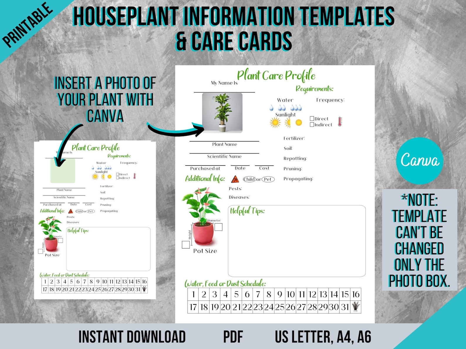 Houseplant Planner Templates and Care Cards Printable Plant - Etsy