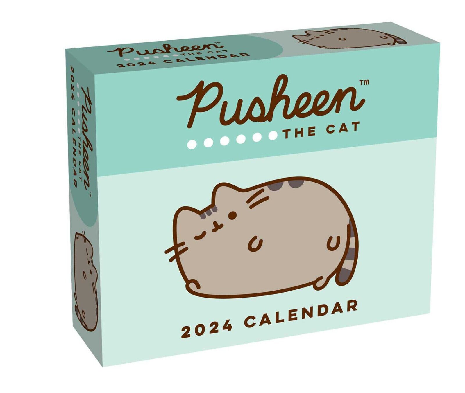 Pusheen Spring Box 2024 Ayn Karine
