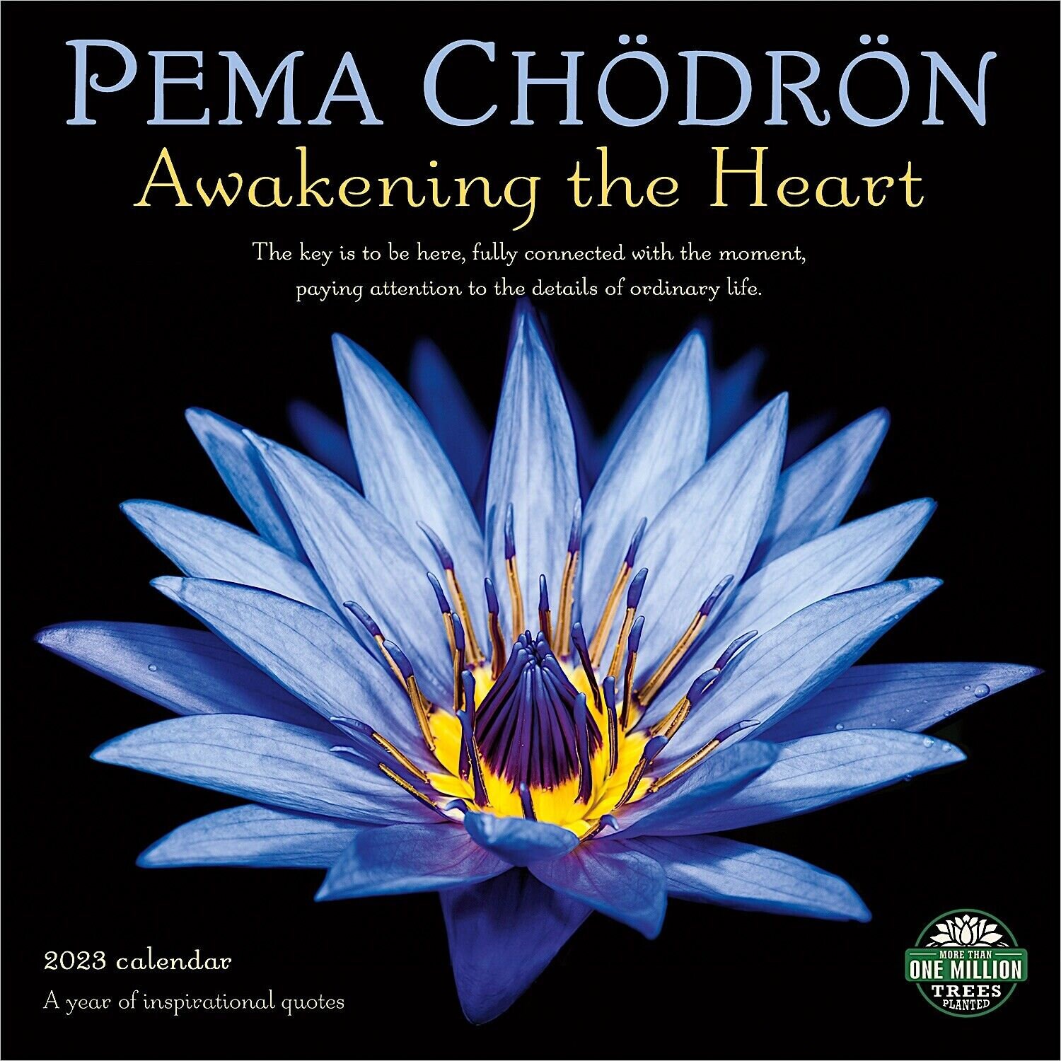 Amber Lotus Pema Chodron 2025 Wall Calendar Etsy