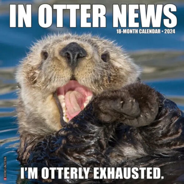 Otter News Etsy