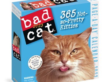 Workman Bad Cat Page-a-day Calendar 2023 - Etsy
