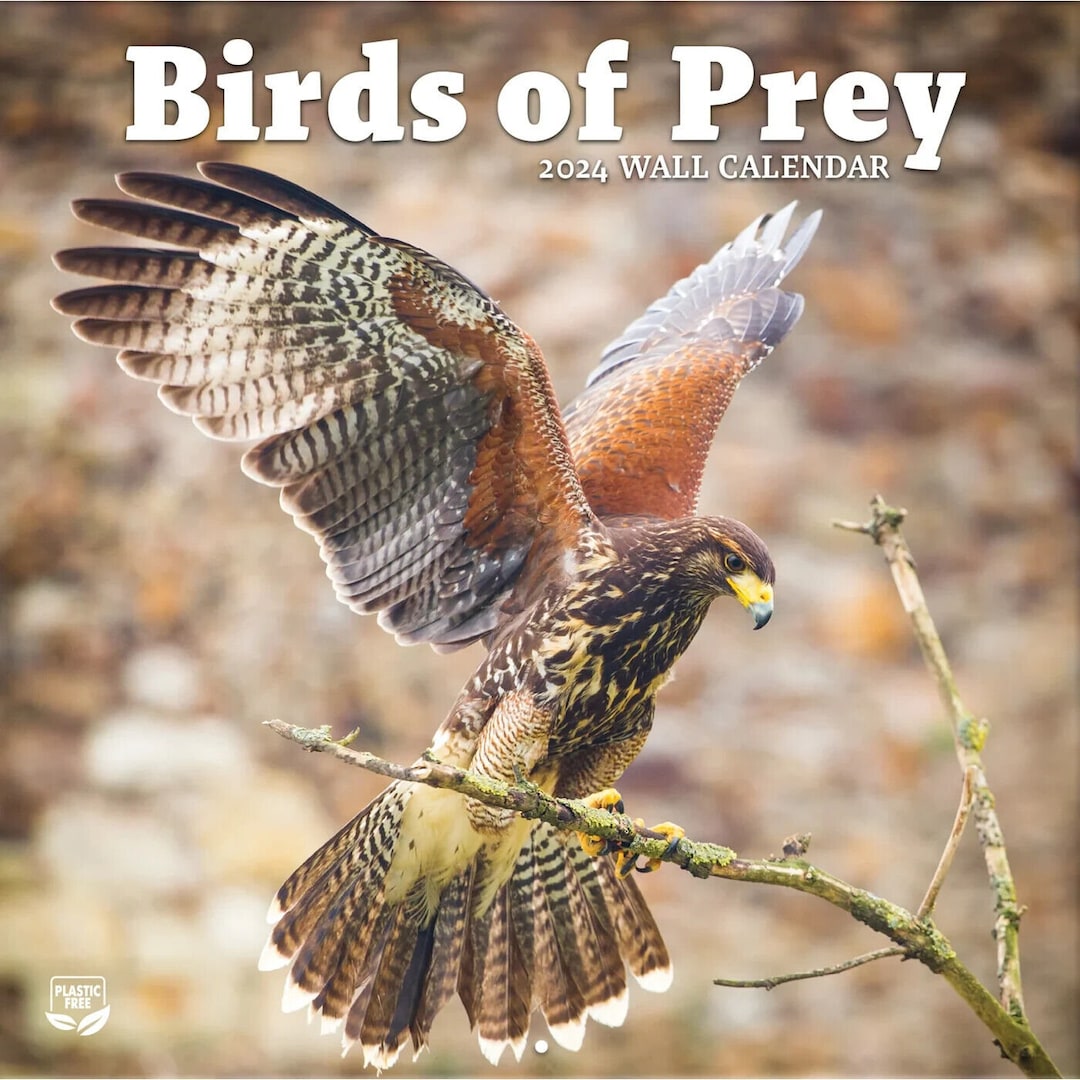Turner Birds of Prey 2025 Wall Calendar Etsy