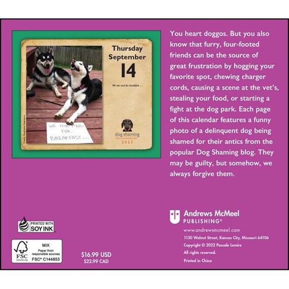 andrews-mcmeel-dog-shaming-2023-day-to-day-calendar-etsy