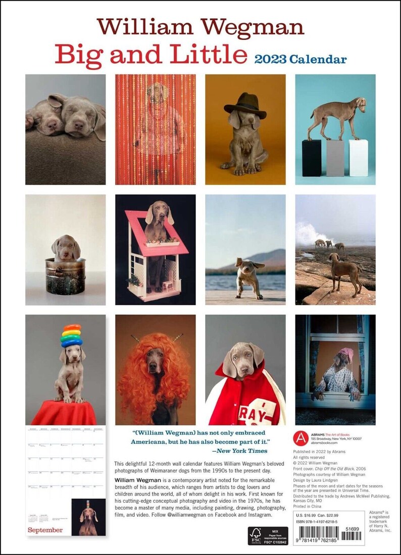 Harry Abrams William Wegman Big and Little 2023 Wall Calendar Etsy