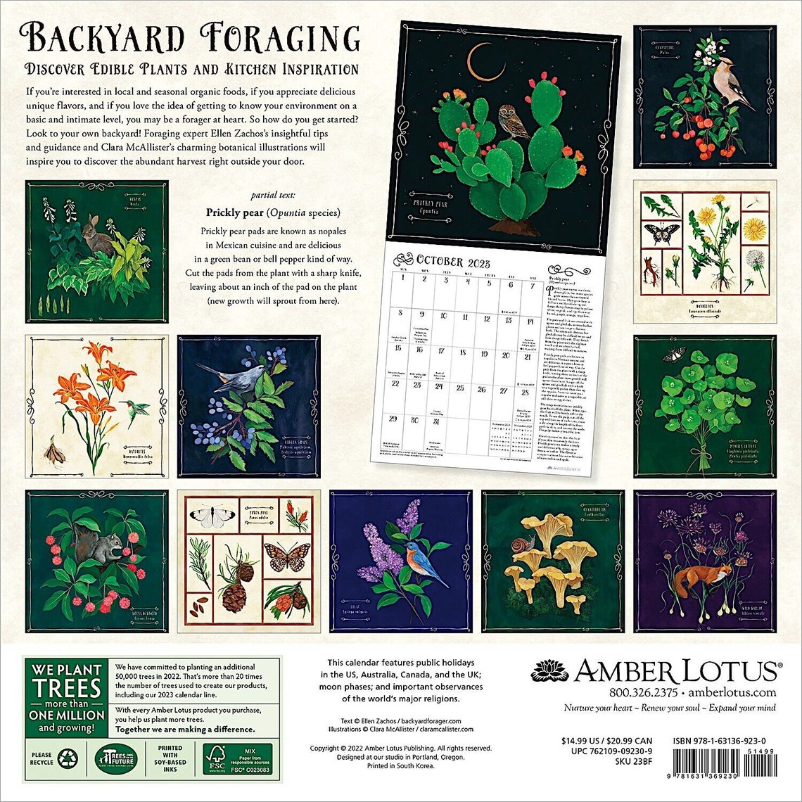 Amber Lotus Backyard Foraging 2023 Wall Calendar Etsy
