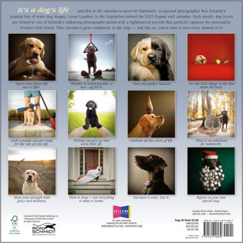 sellers-publishing-dogma-2023-wall-calendar-etsy
