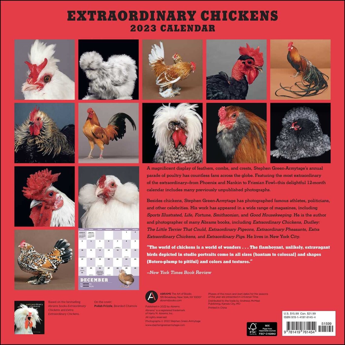 Harry Abrams Extraordinary Chickens 2023 Wall Calendar Etsy