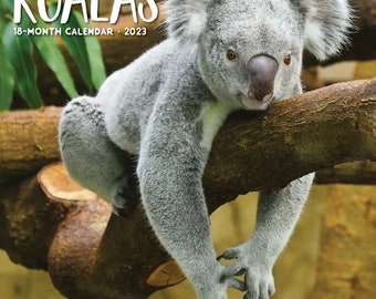 Willow Creek Koala Bears 2023 7 X 7 Mini Wall - Etsy Australia Willow Creek Koala Bears 2023 7 X 7 Mini Wall - Etsy Australia