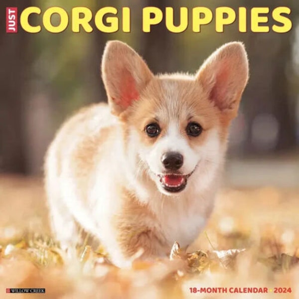 Puppies 2024 Etsy