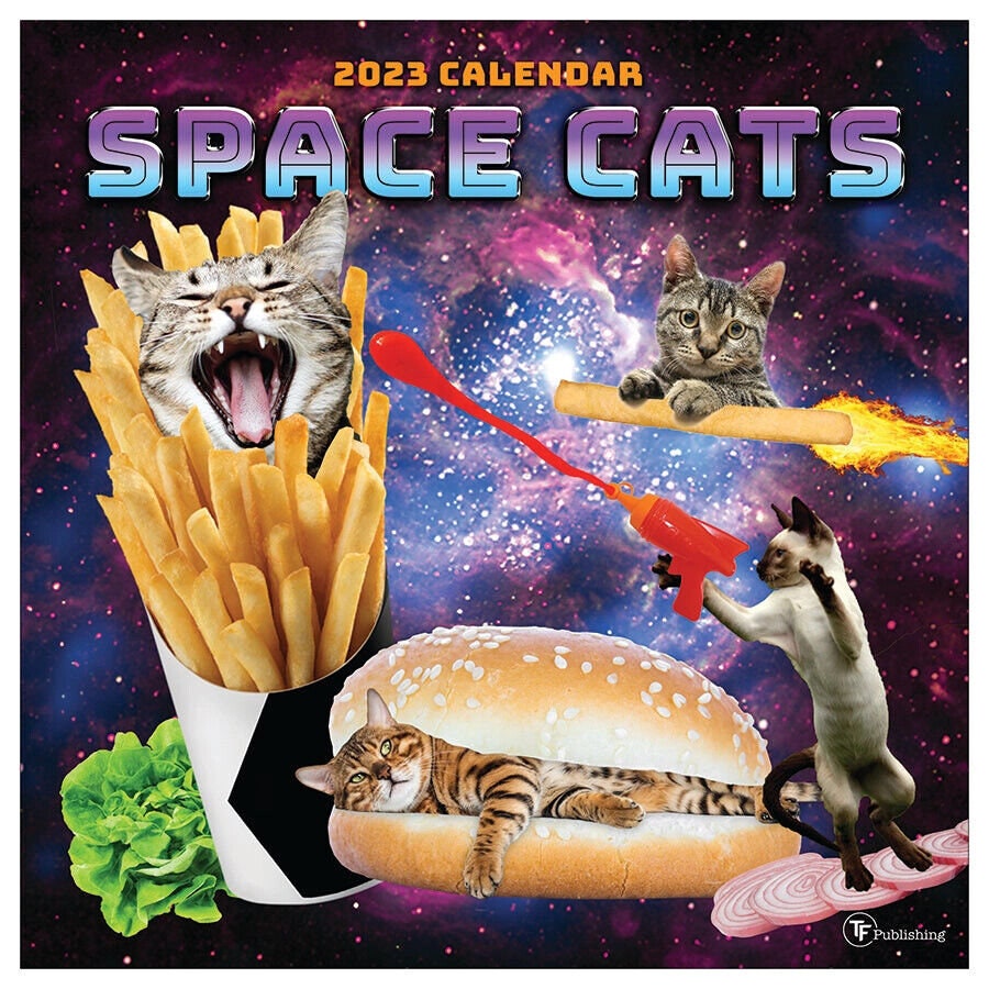 TF Publishing 2023 Space Cats Wall Calendar - Etsy