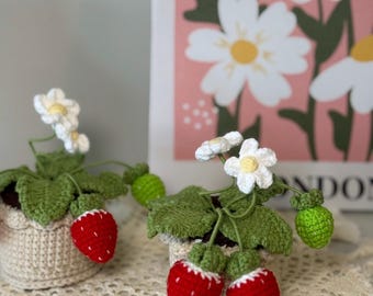 Crochet Strawberry Plant Pot, Mini Strawberry Planter, Handmade Strawberry Decor, Cute Desk Plant Gift, Mother’s Day Gift, Cottagecore Room