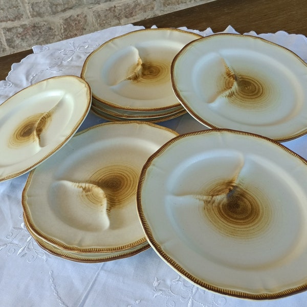 Tree Trunk Plate Etsy