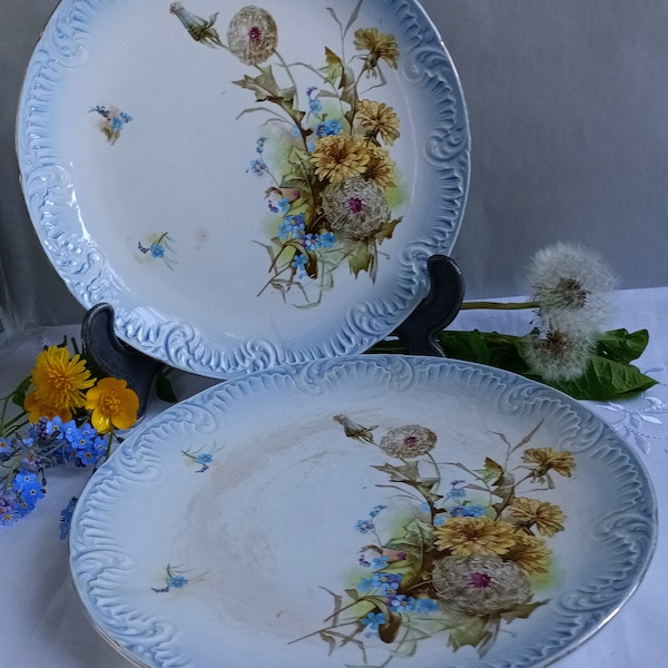 Set de 2 Assiettes Anciennes Digoin et Sarreguemines Numérotées. Bords Travaillés et Décor Pissenlits, Soucis et Myosotis-Funbroc France