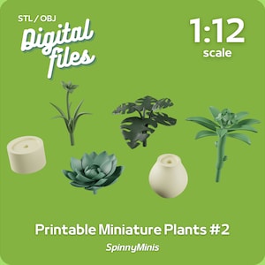Digital Files - 1:12 Miniature Plant Kit #2 Frangipani, Monstera, Daffodil, Cactus / Succulent - Models for 3D Printing (STL / OBJ)