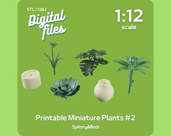 Digital Files - 1:12 Miniature Plant Kit #2 Frangipani, Monstera, Daffodil, Cactus / Succulent - Models for 3D Printing (STL / OBJ)