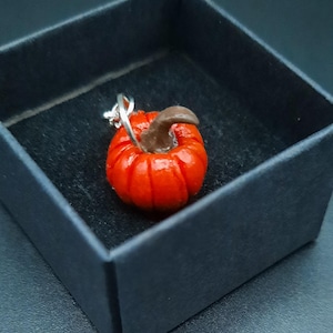 Op de afbeelding: Een kleine oranje pompoenbedel met een bruine steel, hangend aan een zilveren ketting. De bedel zit in een zwarte cadeaudoos.