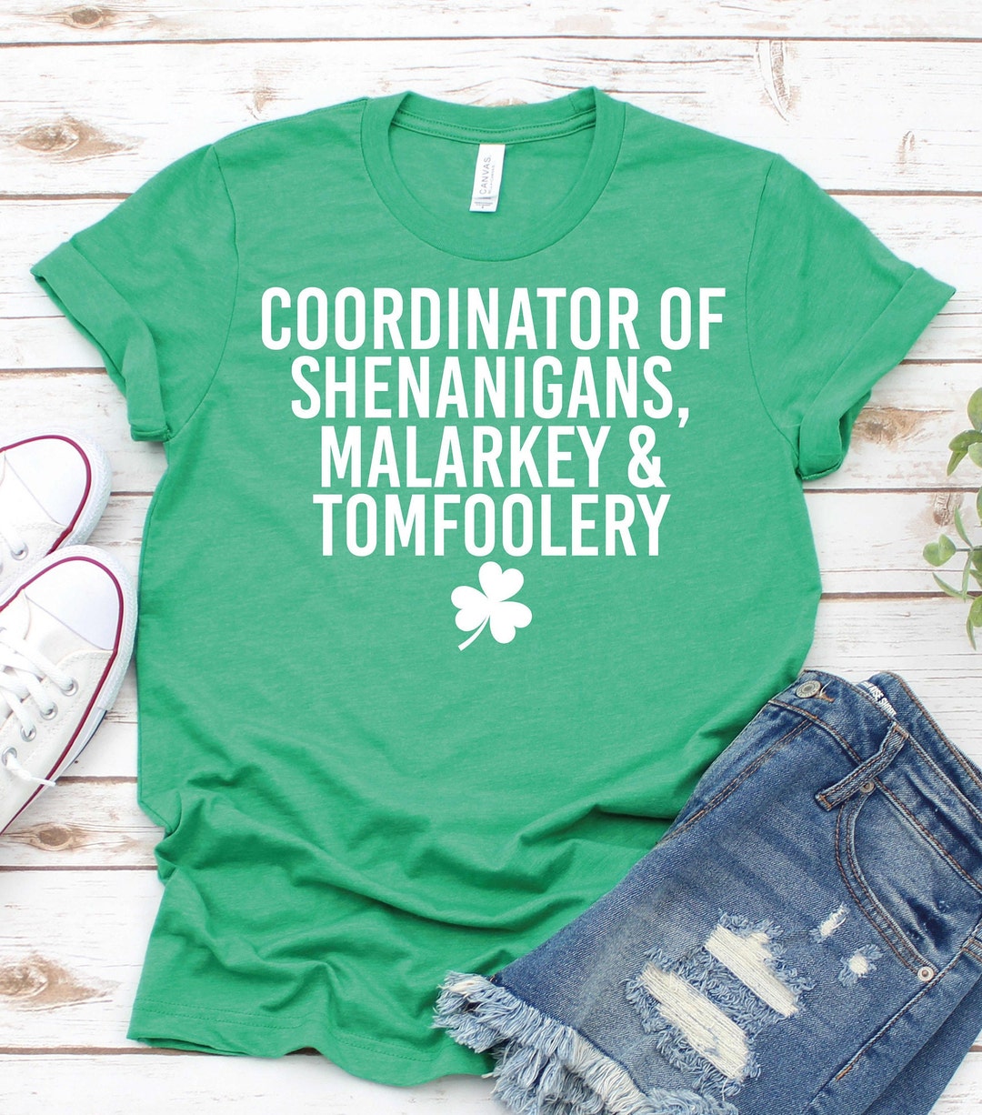 Coordinator of Shenanigans Malarkey and Tomfooleryfunny St Patricks