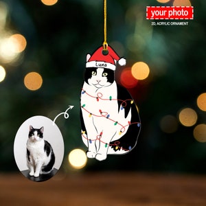 Personalized Cartoon Pet Ornament, Pet Portrait Ornament, Custom Dog Cat Ornament, Christmas Ornament