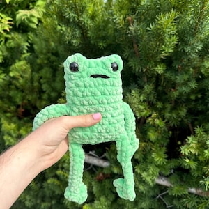 May include: A green crocheted frog plush toy with black eyes. The frog is being held by a hand in front of a green bush.