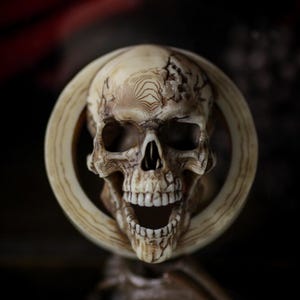 May include: A detailed, off-white skull sculpture with visible teeth and eye sockets, set within a circular, light-colored frame. The skull has intricate surface details and is set against a dark background, creating a dramatic effect. The sculpture is a macabre decorative item.