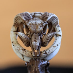 Pode incluir: Uma escultura detalhada e esculpida de um crânio de carneiro com chifres curvos e padrões intrincados. O crânio é creme com detalhes marrons, montado em uma base marrom escura. O fundo é laranja quente e suave.