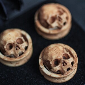 May include: Three round, wooden ear gauges with a skull design. The skulls are carved in detail and have a light brown color.