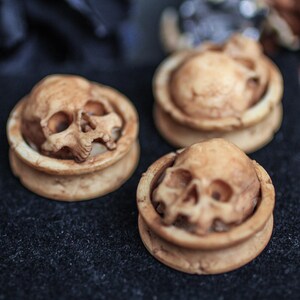 Artisanal bone resin half skull ear gauges with intricate carving—perfect for Gothic fashion, punk looks, or Halloween accessories. Showcases classic texture, ideal for ear piercing enthusiasts.