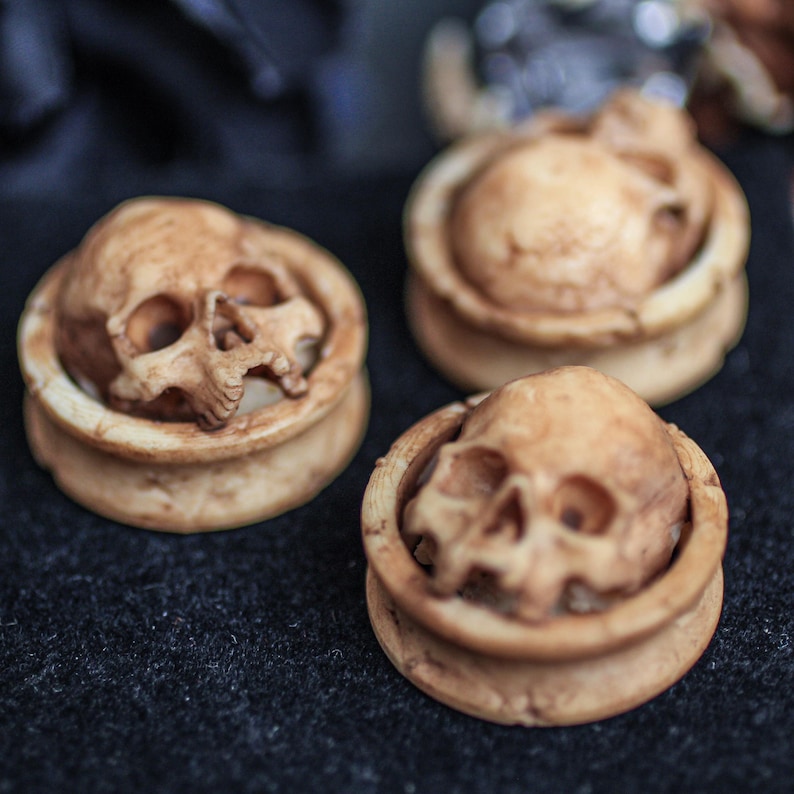 Artisanal bone resin half skull ear gauges with intricate carving—perfect for Gothic fashion, punk looks, or Halloween accessories. Showcases classic texture, ideal for ear piercing enthusiasts.