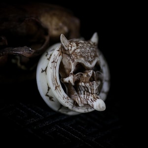 May include: A detailed, off-white skull pendant with horns and intricate carvings. The skull is set within a circular frame, with a tongue protruding. The design has a gothic or fantasy theme.