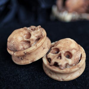 Puede incluir: Dos tapones para orejas en forma de cráneo de color hueso. Los tapones están hechos de madera y tienen un acabado liso y pulido. Los cráneos son detallados y realistas.