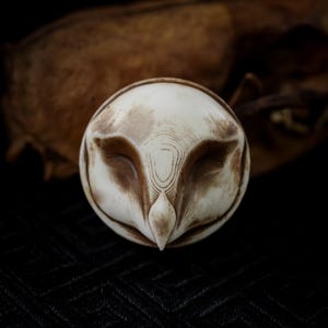 Puede incluir: Primer plano de una escultura de cabeza de búho tallada. La cara del búho es blanquecina con detalles marrones alrededor de los ojos y el pico. La escultura tiene un acabado liso y pulido, probablemente de madera o similar.