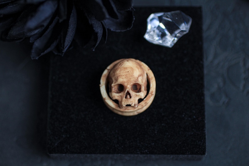 May include: A close-up of a skull-shaped ear gauge made of bone-colored material. The gauge is on a black velvet surface.