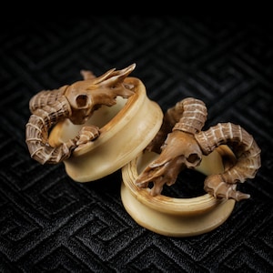 Pode incluir: Dois alargadores de orelha bege com desenhos detalhados de crânios e chifres de carneiro castanhos. Os alargadores são feitos de um material de cor clara, com os crânios e chifres de carneiro intrincadamente esculpidos. O fundo é uma superfície escura e texturizada.