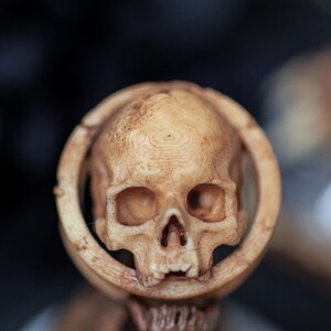 DIY-friendly bone resin half skull ear gauges with classic texture—great for Gothic body mods, punk ear piercings, or dark aesthetic jewelry collections.