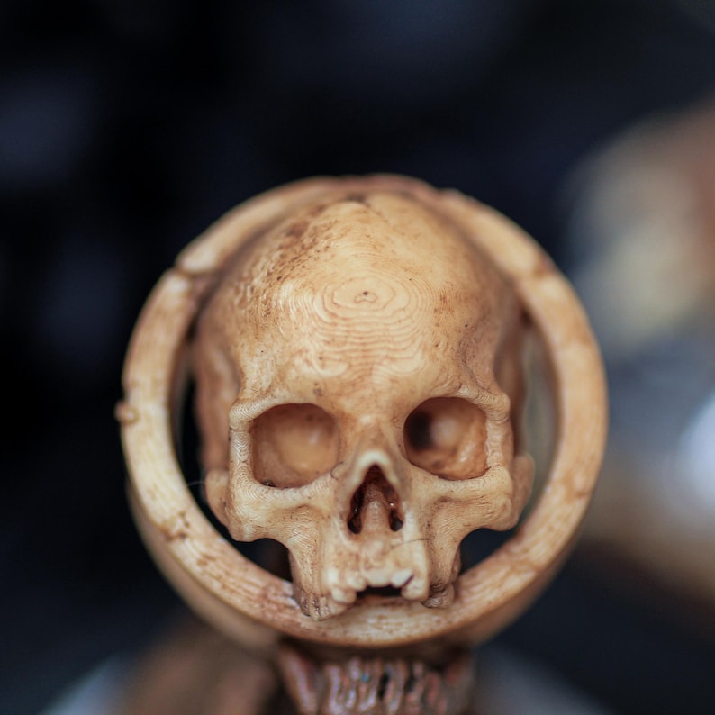 DIY-friendly bone resin half skull ear gauges with classic texture—great for Gothic body mods, punk ear piercings, or dark aesthetic jewelry collections.