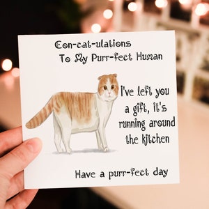 Carte d'anniversaire chat Scottish Fold, carte d'anniversaire chat, carte personnalisée race de chat, carte d'anniversaire ami, carte d'anniversaire personnalisée, carte chat orange