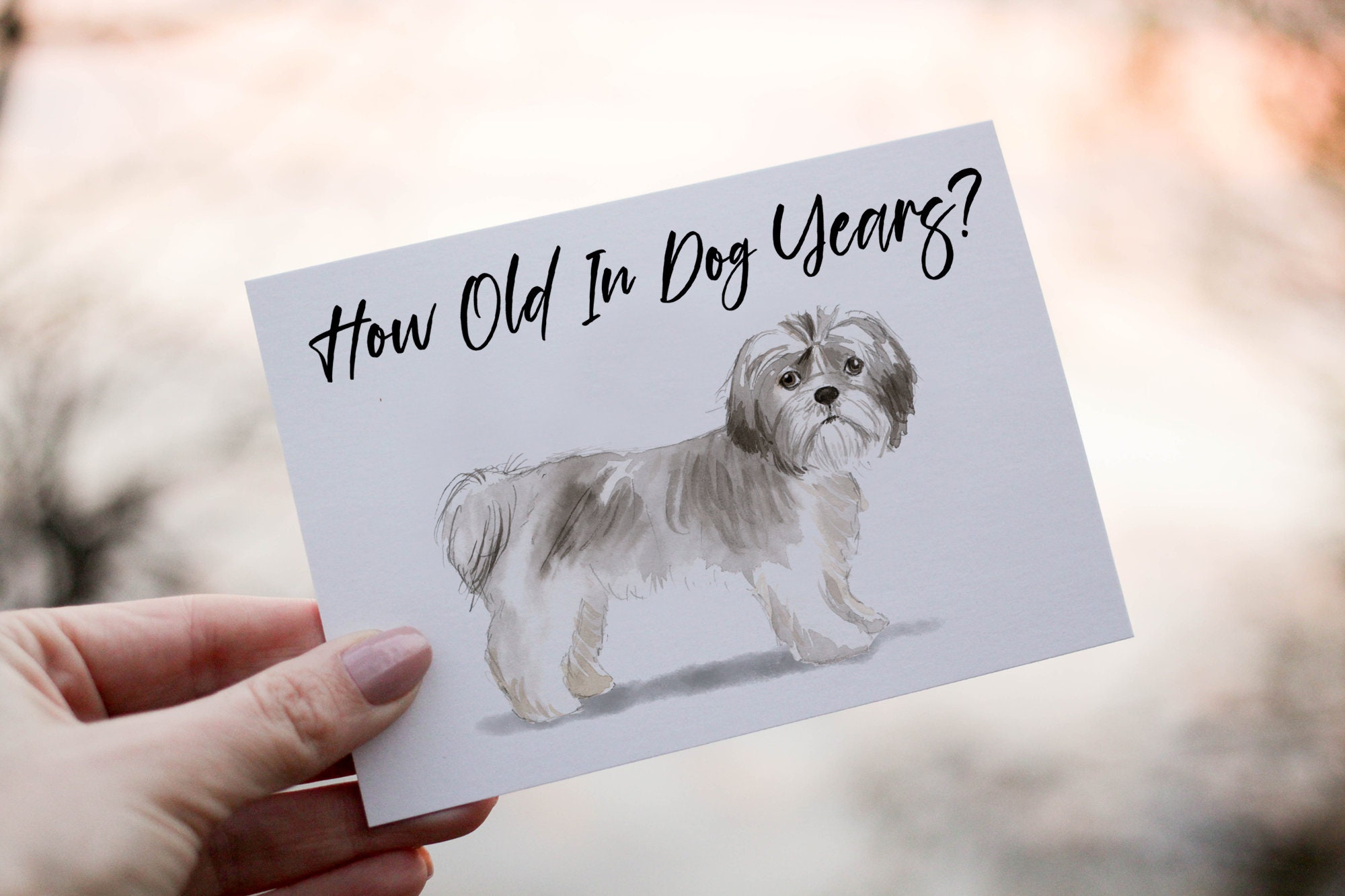 Whitman And Daughter Shih Tzu Geburtstagskarte – Premium-Karte Mit Business-Hund, 12,7 X 17,8 Cm