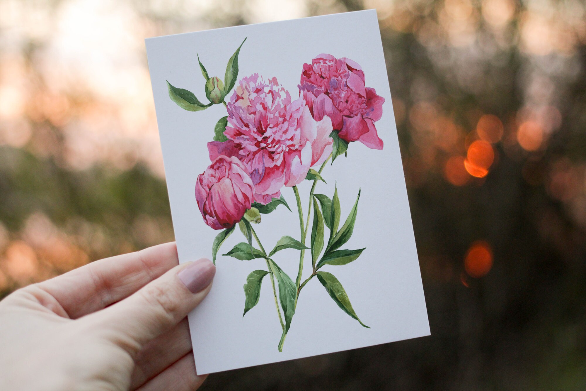 Peony Flower Birthday Card, Card for Friend, Greeting Card, Flower ...