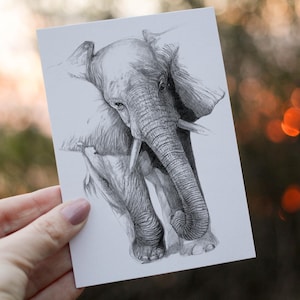 Verjaardagskaart olifant, aangepaste olifantskaart, gepersonaliseerde olifantskaart, print olifant A4, olifant foto, olifant Notelet