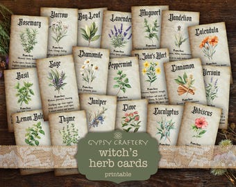Witch's Herbs: Printable Cards for Grimoire, BOS Pages, Green Witch Magic Junk Journal