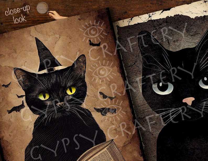 May include: Two black cats with large eyes. One cat is wearing a witch's hat and holding a book. The background is a vintage, textured paper with bats and eyes.