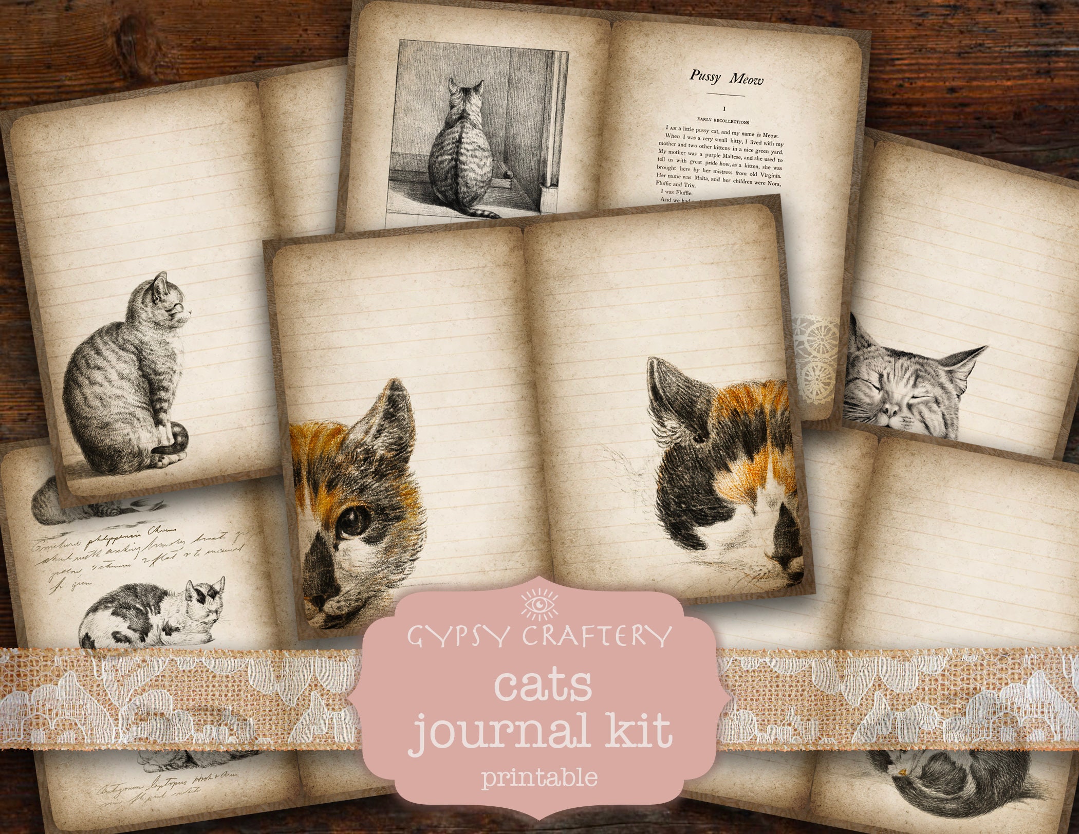 Cat Journal 