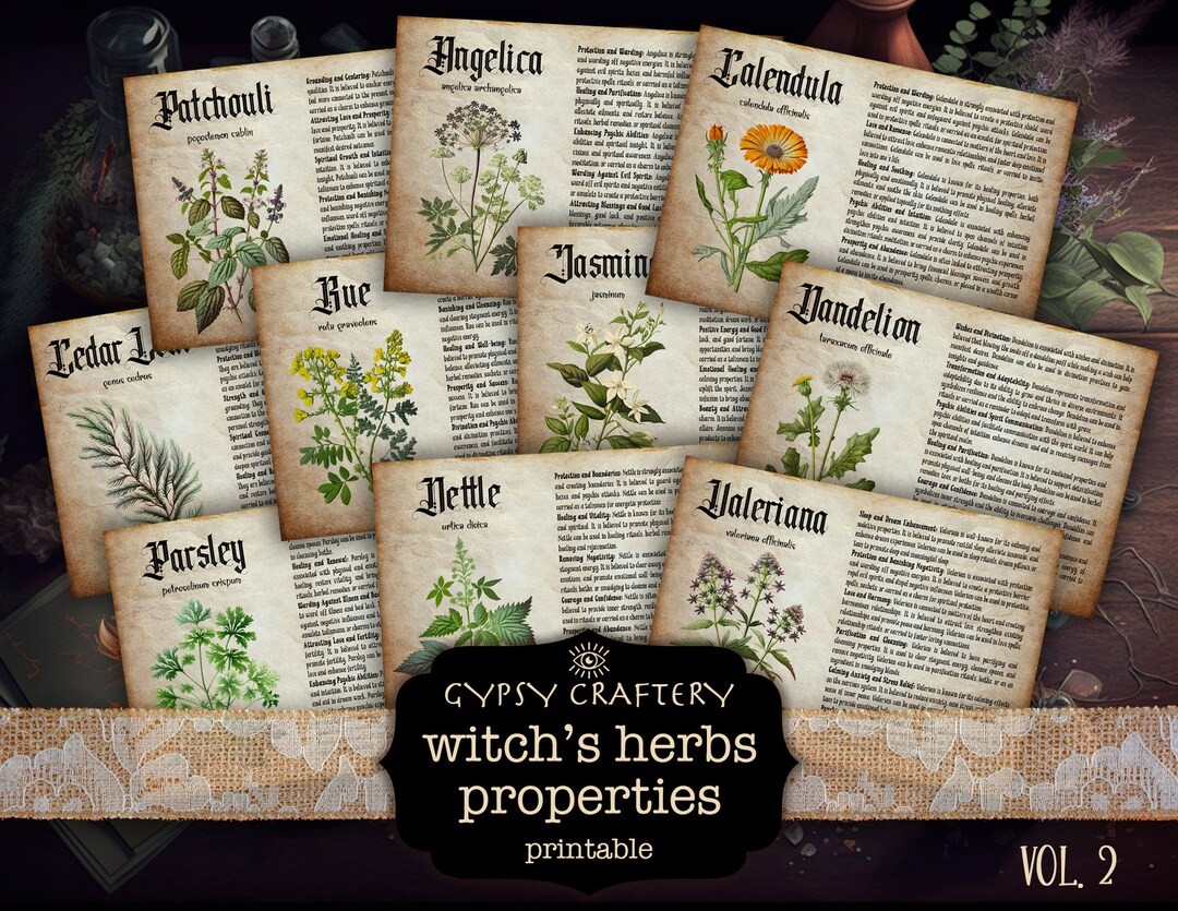 Herb Correspondences, Printable Bos Pages, Herb Profiles, Grimoire