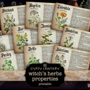 Herb Correspondences, Printable Bos Pages, Herb Profiles, Grimoire Pages, Digital Collage, Witch Junk Journal Supplies, Wiccan Ephemera